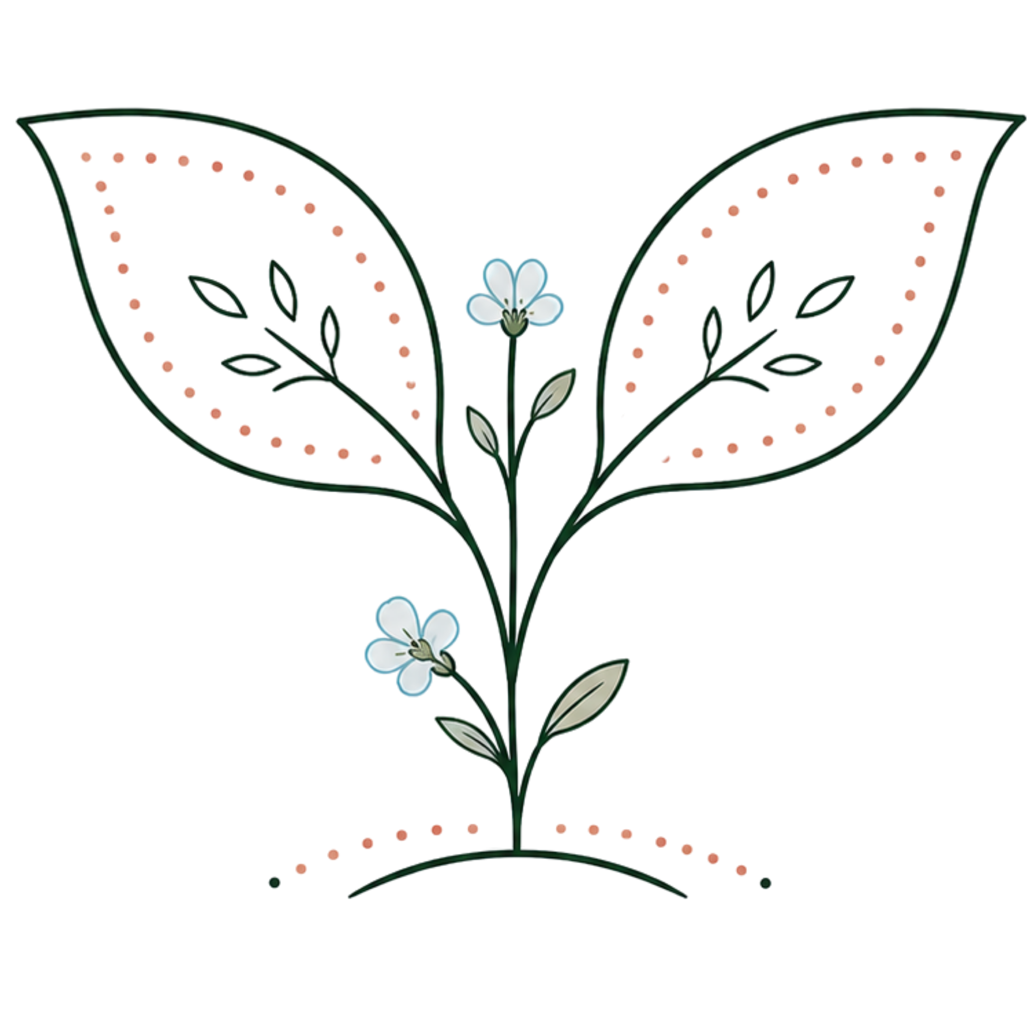 Simple illustration of a plant with flowers and leaves on a white background